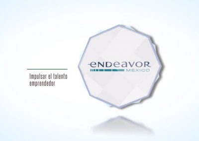 Empresarial Endeavor