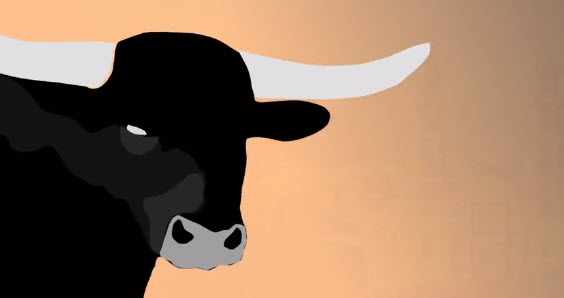 Animación por rotoscopeo FNSM 2012