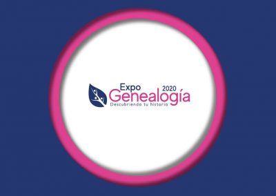 Loop para pantallas en expos