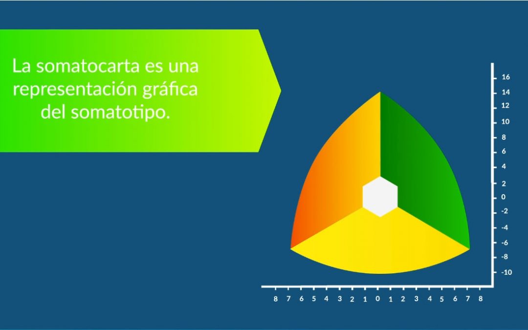 Contenido especializado: Somatocarta