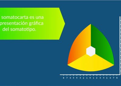 Contenido especializado: Somatocarta
